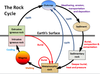 Chapter 9. Sedimentary Rocks – Physical Geology – H5p Edition V1.1