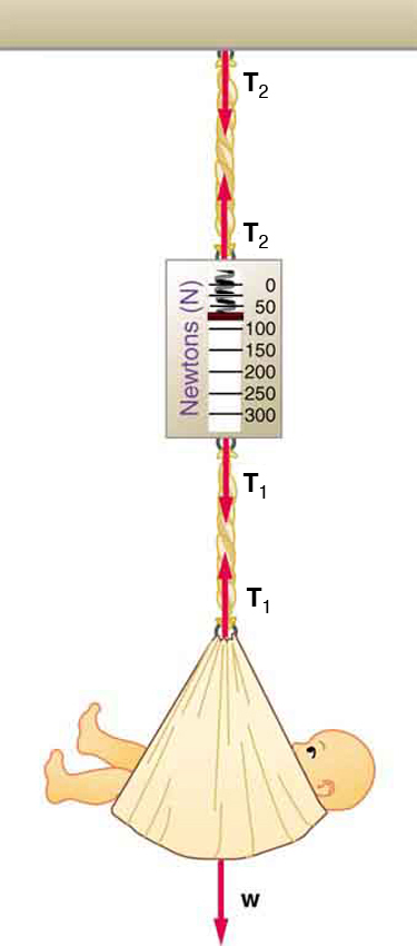 A vertical spring scale measuring the weight of a baby is shown. The scale is hung from the ceiling by a cord. The weight W of the baby is shown by a vector arrow acting downward and tension T sub one acting in the cord is shown by an arrow upward. The tension in the cord T sub two attached to the ceiling is represented by an arrow upward from the spring scale and downward from the ceiling.