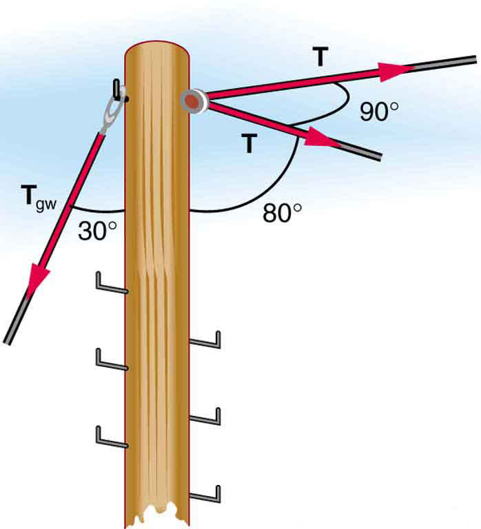 A telephone pole is located at a ninety degree bend in a power line. Each part of the line is at an angle of eighty degrees with the pole and has a tension labeled T. A guy wire is attached to the top of the pole at an angle of thirty degrees with the vertical.