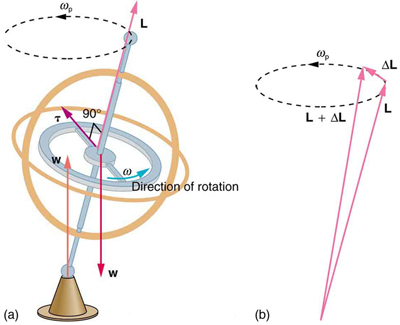 In figure a, the gyroscope is rotating in counter clockwise direction. The weight of the gyroscope is acting downward. The supportive force is acting at the base. The line of action of the weight and supportive force are different. The torque is acting along the radius of the horizontal circular part of gyroscope. In figure b, the two vectors L and L plus delta L are shown. The vectors start from a point at the bottom of the figure and terminate at two points on a horizontal dotted circle, directed in counter clockwise direction, at the top of the figure. Another vector delta L starts from the head of vector L and terminates at the head of vector L plus delta L.