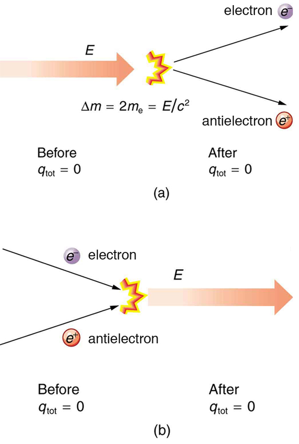 Here energy is shown by a vector. Initially electrostatic charge q tot is equal to zero. Now energy gets converted into matter and creates one electron and antielectron pair but final electrostatic charge is equal to zero so change in mass delta m is equal to two m e, which is equal to E divided by c square. (b) In this figure, Electron and antielectron are colliding with each other. The electrostatic charge q tot before collision is zero and after collision it will remain zero.