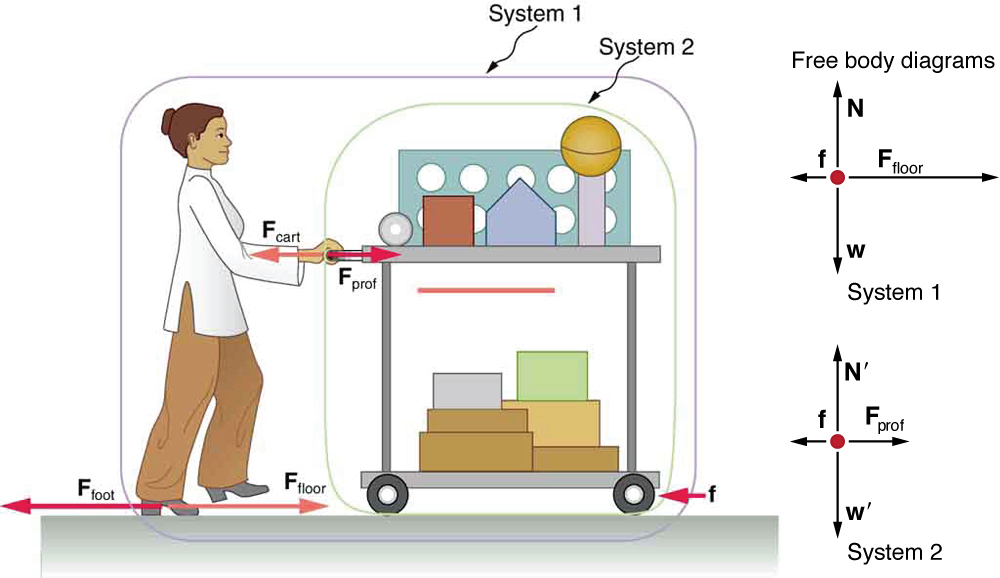 A professor is pushing a cart of demonstration equipment. Two systems are labeled in the figure. System one includes both the professor and cart, and system two only has the cart. She is exerting some force F sub prof toward the right, shown by a vector arrow, and the cart is also pushing her with the same magnitude of force directed toward the left, shown by a vector F sub cart, having same length as F sub prof. The friction force small f is shown by a vector arrow pointing left acting between the wheels of the cart and the floor. The professor is pushing the floor with her feet with a force F sub foot toward the left, shown by a vector arrow. The floor is pushing her feet with a force that has the same magnitude, F sub floor, shown by a vector arrow pointing right that has the same length as the vector F sub foot. A free-body diagram is also shown. For system one, friction force acting toward the left is shown by a vector arrow having a small length, and the force F sub floor is acting toward the right, shown by a vector arrow larger than the length of vector f. In system two, friction force represented by a short vector small f acts toward the left and another vector F sub prof is represented by a vector arrow toward the right. F sub prof is longer than small f.