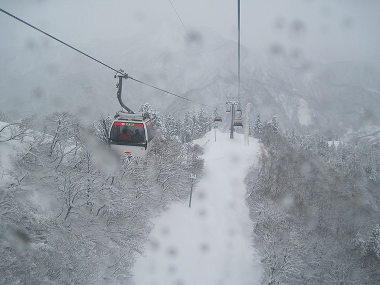 Ski gondolas travel along suspension cables. A vast forest and snowy mountain peaks can be seen in the background.
