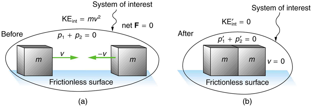 The system of interest contains two equal masses with mass m. One moves to the right and the other moves to the left with the same magnitude of velocity represented by V. Due to this their total momentum and net force remains zero. The internal kinetic energy is mv power 2. After collision the system of interest has no net velocity, no total momentum and no internal kinetic energy. This is true for all inelastic collisions.