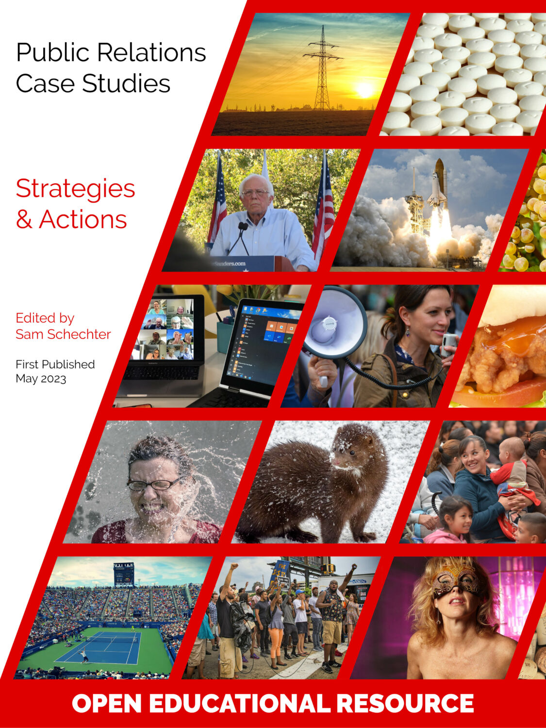 Cover image for Public Relations Case Studies: Strategies & Actions