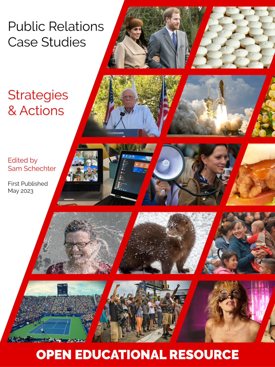 Cover image for Public Relations Case Studies: Strategies & Actions