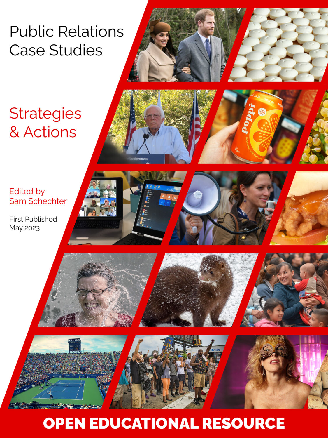 Cover image for Public Relations Case Studies: Strategies & Actions