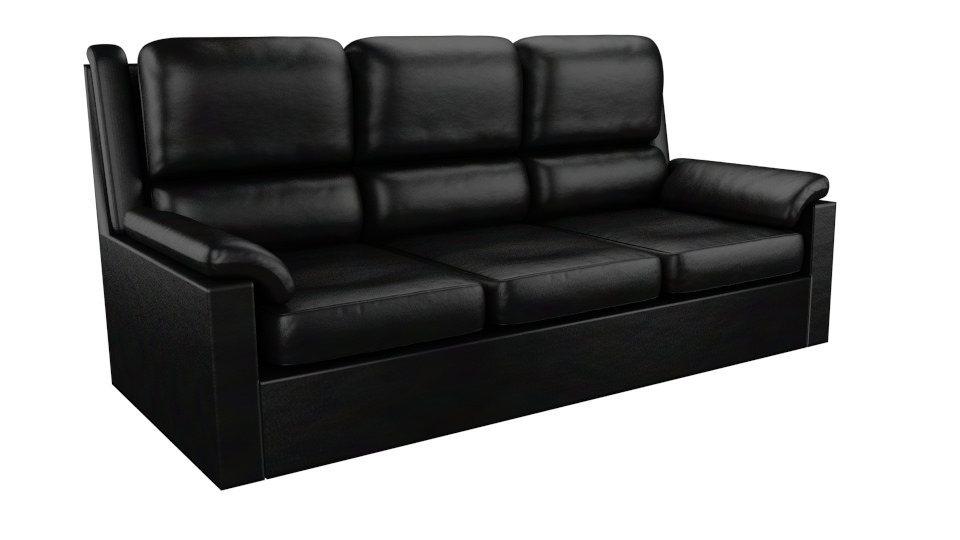 Black leather sofa