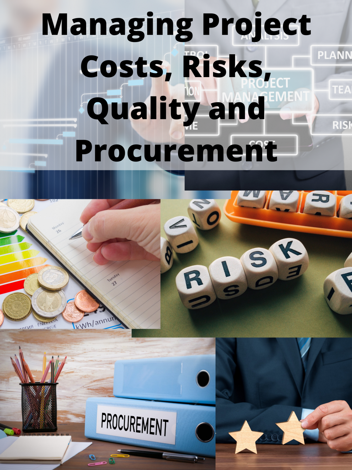 Cover image for Managing Project Costs, Risks, Quality and Procurement