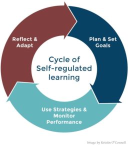 Cyclical and recursive SRL process that moves from Plan and Set Goals, to Use Strategies and Monitor Performance, and finally reflect and adapt.