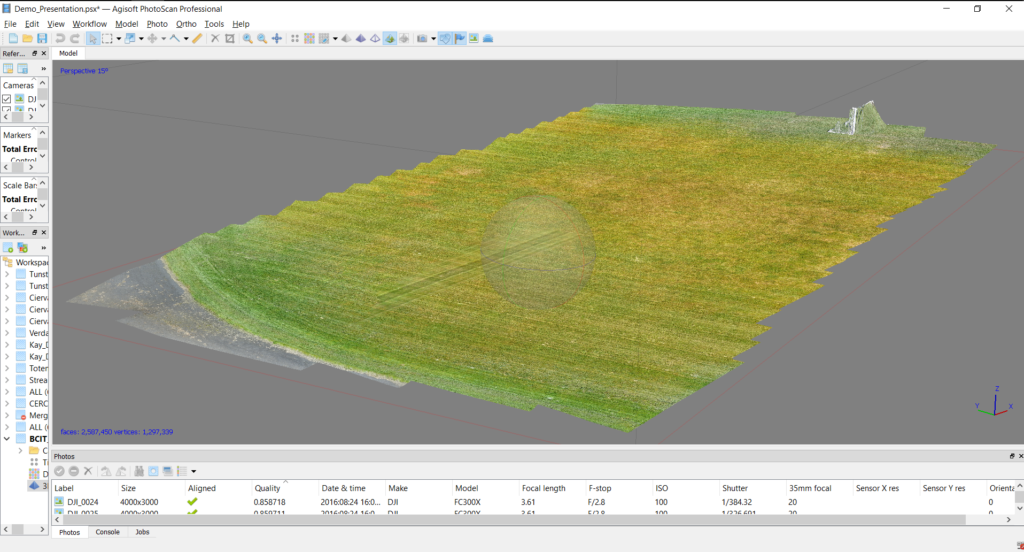 Screenshot showing a perspective view of a 3-D mesh with a high resolution photo texture applied to it in agisoft photoscan professional