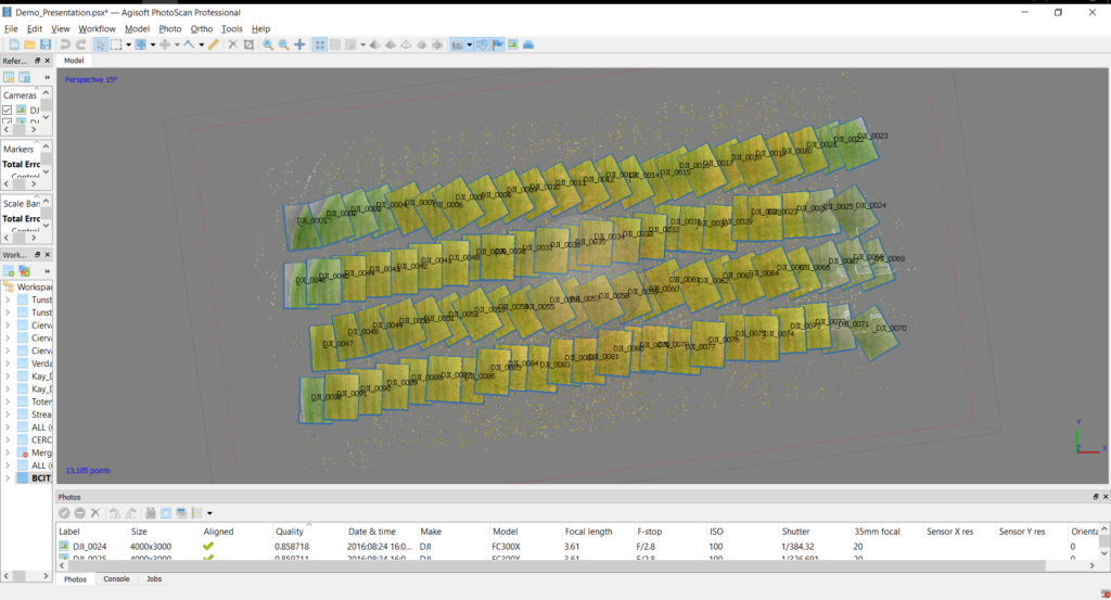 Screenshot of a sparse point cloud showing key tie points and the photo footprints in Agisoft Photoscan professional