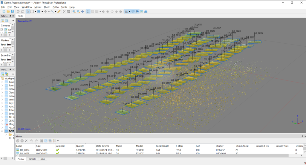 Screenshot of a dense point cloud in Agisoft Photoscan professional showing 13,185 key tie points