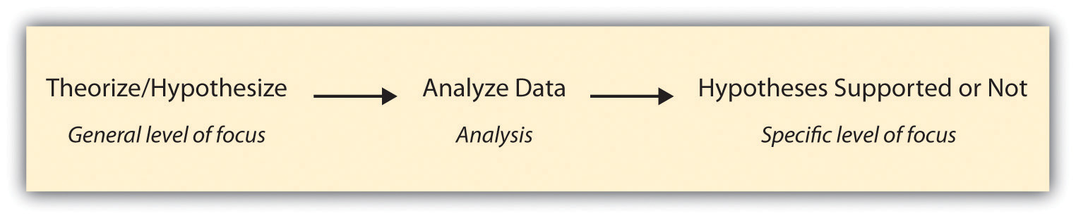 1. Theorize/hypothesize. 2. Analyze data. 3. Hypotheses supported or not.