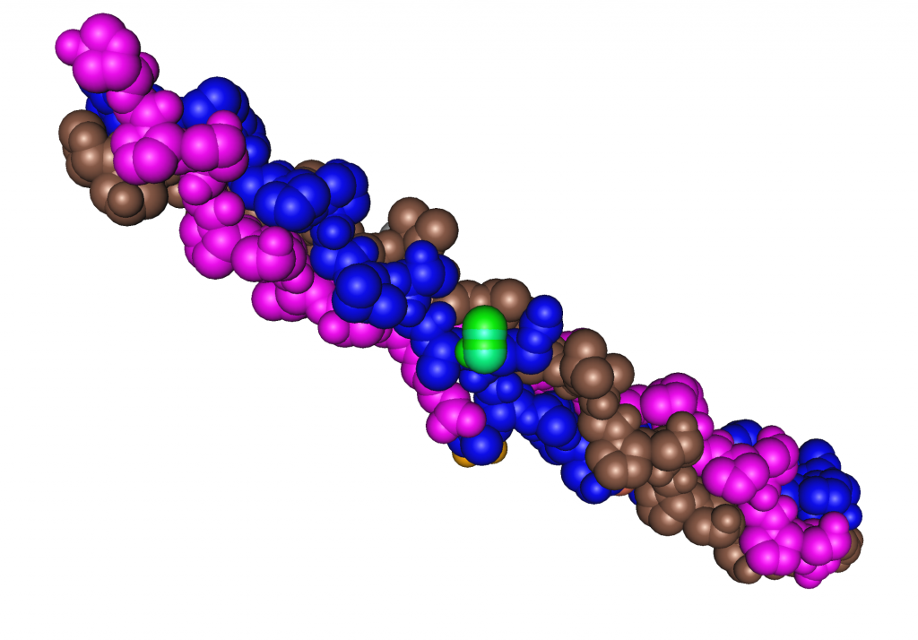 Collagen triple helix protein 3d rendering