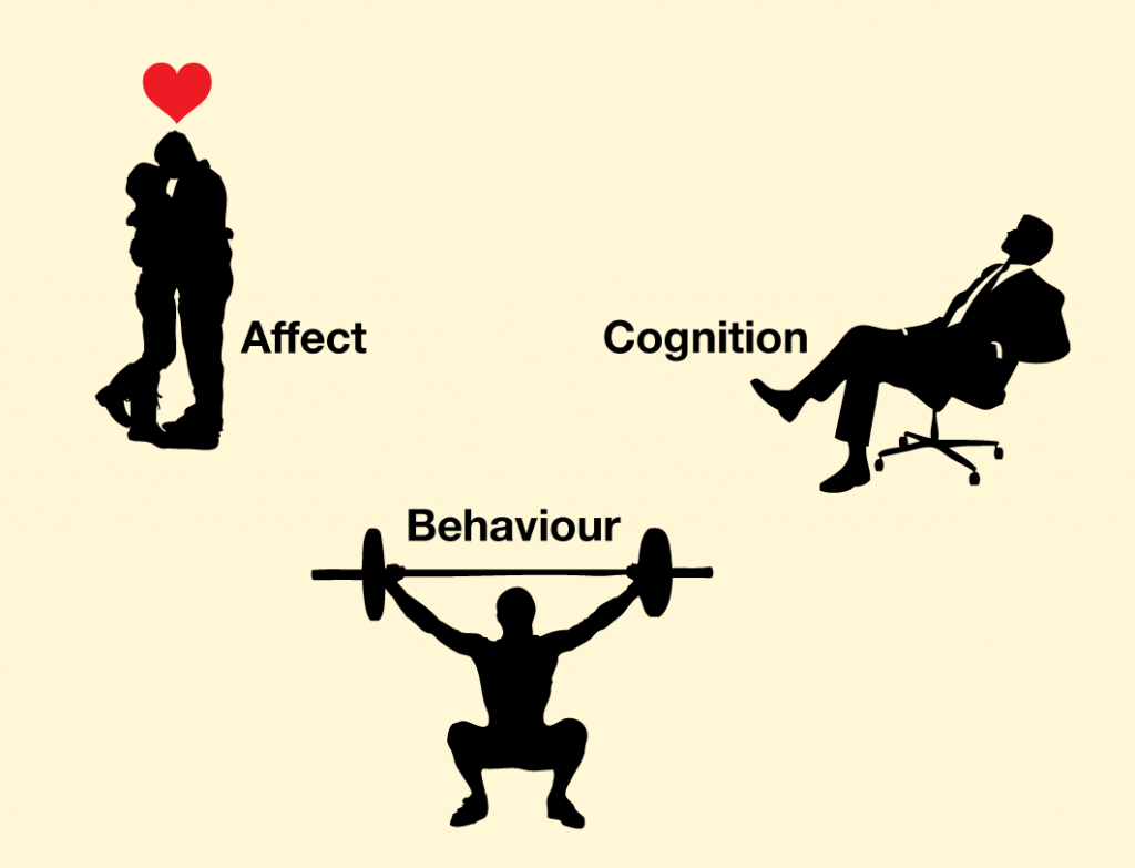 Human beings rely on the three capacities of affect, behaviour, and cognition, which work together to help them create successful social interactions.