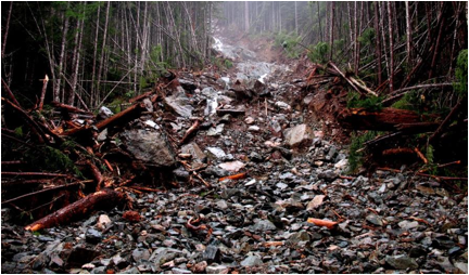 Figure 15.17 The lower part of debris flow within a steep stream channel near Buttle Lake, B.C., in November 2006. [SE]