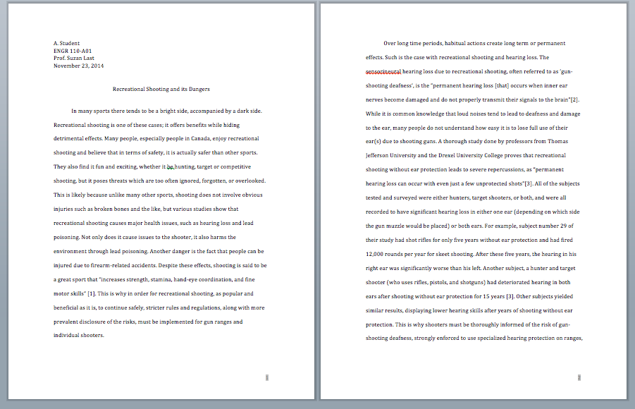 2 page essay