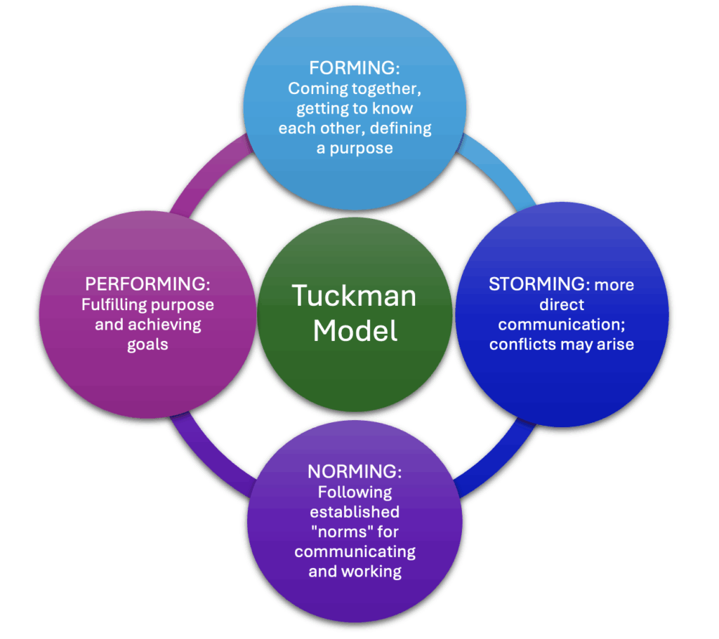 A circular diagram of Tuckman’s Model of team development showing four stages: Forming, strorming, norming, and performing.