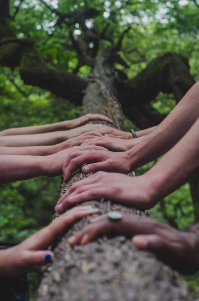 hands on a tree