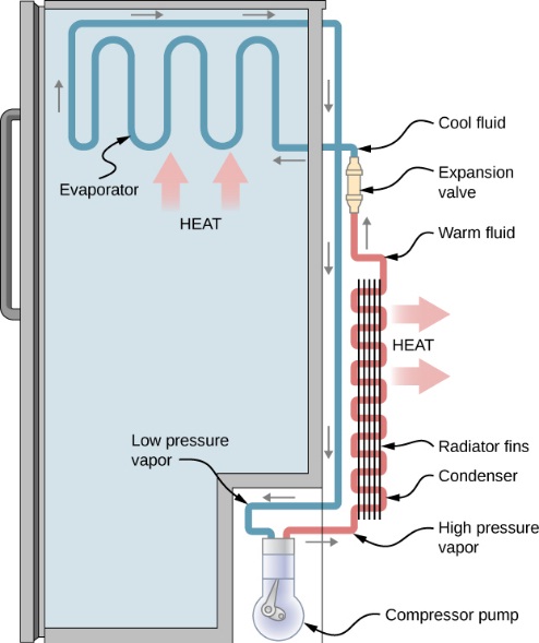 Refrigerator utilizes the vapour compression cycle. The main components of a refrigerator are compressor, evaporator, expansion valve and condenser.