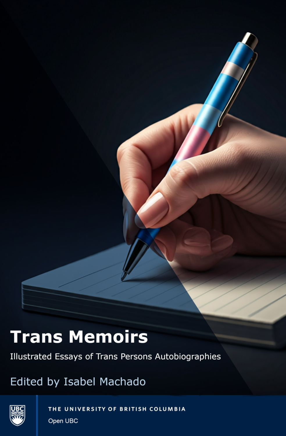 Cover image for Trans* Journeys