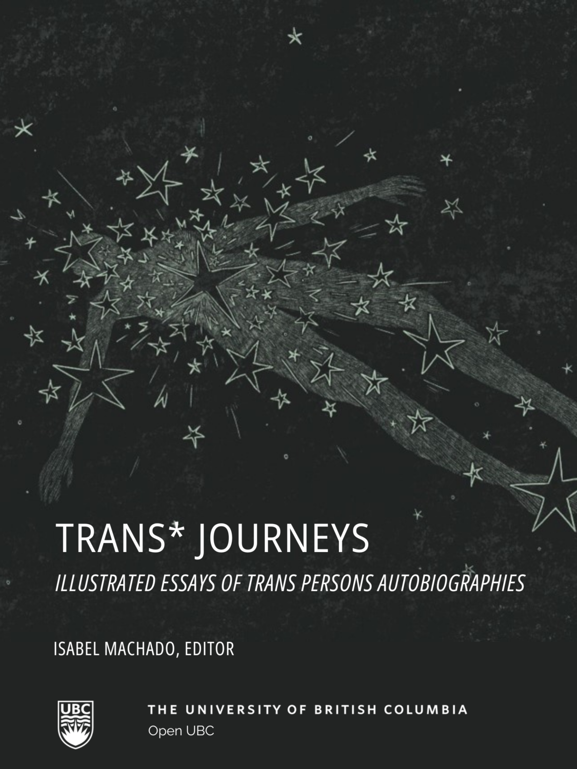 Cover image for Trans* Journeys