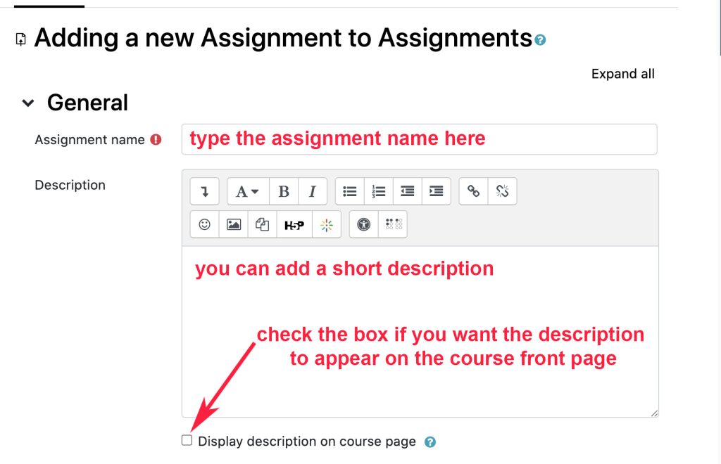 type in assignment name