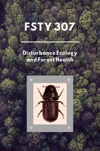 Cover image for FSTY 307 - Disturbance Ecology & Forest Health