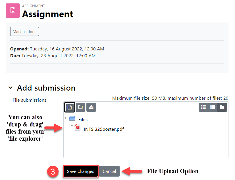 how to submit assignment on moodle app