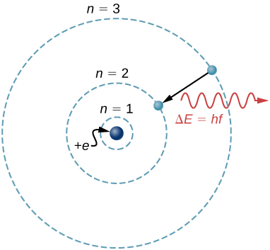 An illustration of the Bohr model of a single electron atom. Three possible electron orbits are shown as concentric circles centered on the nucleus. The orbits are labeled, from innermost to outermost, n=1, n=2, and n=3. An electron is shown moving from the n=3 orbit to the n=2 orbit, and emitting a photon with energy delta E equals h f.