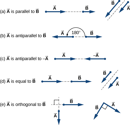 Figure a: Two examples of vector A parallel to vector B. In one, A and B are on the same line, one after the other, but A is longer than B. In the other, A and B are parallel to each other with their tails aligned, but A is shorter than B. Figure b: An example of vector A antiparallel to vector B. Vector A points to the left and is longer than vector B, which points to the right. The angle between them is 180 degrees. Figure c: An example of vector A antiparallel to minus vector A: A points to the right and –A points to the left. Both are the same length. Figure d: Two examples of vector A equal to vector B: In one, A and B are on the same line, one after the other, and both are the same length. In the other, A and B are parallel to each other with their tails aligned, and both are the same length. Figure e: Two examples of vector A orthogonal to vector B: In one, A points down and B points to the right, meeting at a right angle, and both are the same length. In the other, points down and to the right and B points down and to the left, meeting A at a right angle. Both are the same length.