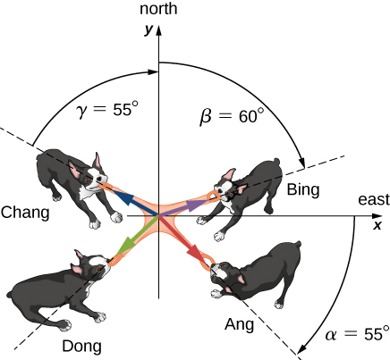 Illustration of 4 dogs pulling on a toy. The toy is at the origin of a coordinate system, with plus x aligned with east and plus y with north. Ang is pulling at an angle alpha which is 55 degrees clockwise from the plus x (east) direction. Bing is pulling at an angle beta which is 60 degrees clockwise from the plus y (north) direction. Chang is pulling at an angle gamma which is 55 degrees counterclockwise from the plus y (north) direction. Dong is pulling in an unspecified direction in the third quadrant.