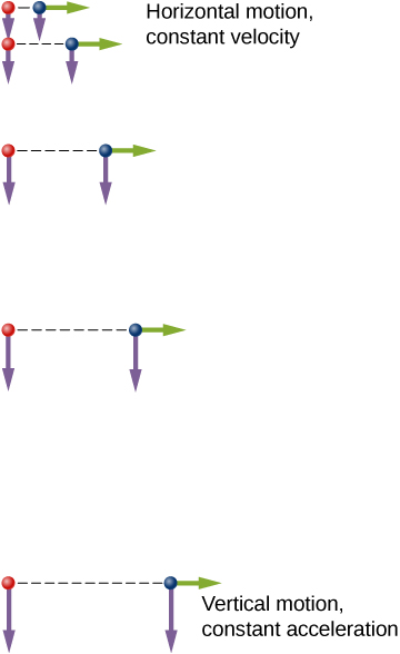 Two identical balls are illustrated at 5 locations at equal time intervals. The balls start at the same vertical position. Green arrows represent the horizontal velocities and purple arrows represent the vertical velocities at each position. The ball on the right has an initial horizontal velocity whereas the ball on the left has no horizontal velocity. The horizontal motion is constant horizontal velocity at all times for both balls. The vertical motion is constant vertical acceleration. Each ball’s vertical velocity is increasing in magnitude and pointing down. At each instant in time, both balls have identical vertical positions and vertical velocities.