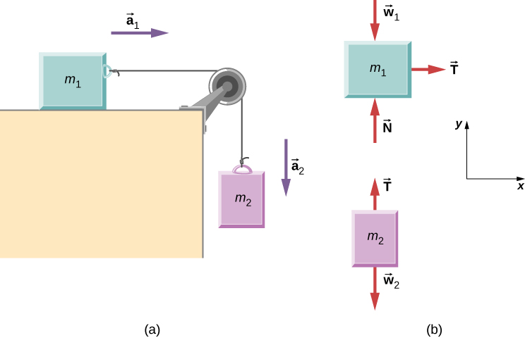 (a)  Block m sub 1 is on a horizontal surface. It is connected to a string that passes over a pulley then hangs straight down and connects to  block m sub 2. Block m sub 1 has acceleration a sub 1 directed to the right. Block m sub 2 has acceleration a sub 2 directed downward. (b) Free body diagrams of each block. Block m sub 1 has force w sub 1 directed vertically down, N directed vertically up, and T directed horizontally to the right. Block m sub 2 has force w sub 2 directed vertically down, and T directed vertically up. The x y coordinate system has positive x to the right and positive y up.