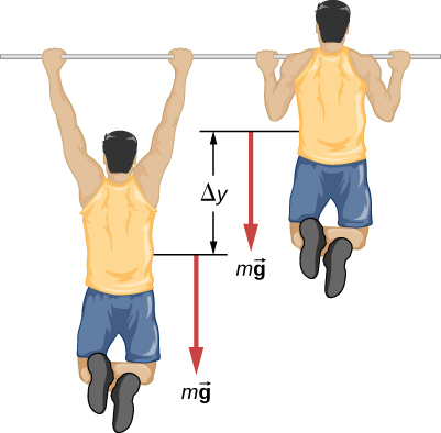 The figure is an illustration of a person doing a pull up. The person moves a vertical distance of Delta y during the pull up. A downward force of m times vector g is shown acting on the person both at the top and bottom positions of the pull up.