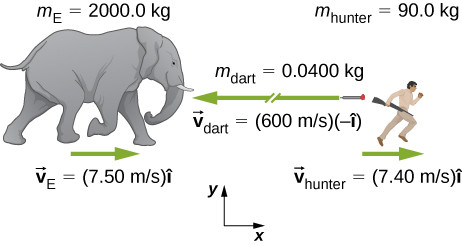 A drawing of an elephant, on the left, and hunter, on the right. An x y coordinate system is shown, with positive x to the right and positive y up. The elephant is labeled with m E = 2000.0 k g, and vector v E = 7.50 meters per second times I hat. An arrow above the v E vector points to the right. The hunter is labeled with m hunter = 90.0 k g, and vector v hunter = 7.40 meters per second times I hat. An arrow above the v hunter vector points to the right. Between the hunter and elephant is a dart with a long arrow pointing to the left drawn near it and labeled vector v dart = 600 meters per second times minus I hat, and m dart = 0.0400 k g.