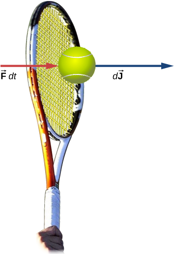 A drawing of a tennis racket hitting a tennis ball. Two arrows pointing to the right are drawn near the ball. One is labeled vector F d t and th other is labeled d J vector.