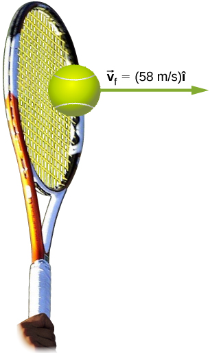 A tennis ball leaves the racket with velocity v sub f equals 58 meters per second i hat which points horizontally to the right.