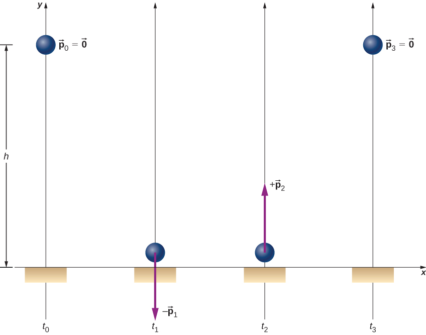 A ball is shown at four different times. At t sub 0 the ball is at a distance h above the floor and has p sub 0 equals 0. At t sub 1 the ball is near the floor. A downward arrow at the ball is labeled minus p sub 1. At t sub 2 the ball is near the floor. An upward arrow at the ball is labeled plus p sub 2. The p sub 1 and p sub 2 arrows are the same length. At t sub 3 the ball at height h again and p sub 3 equals zero.