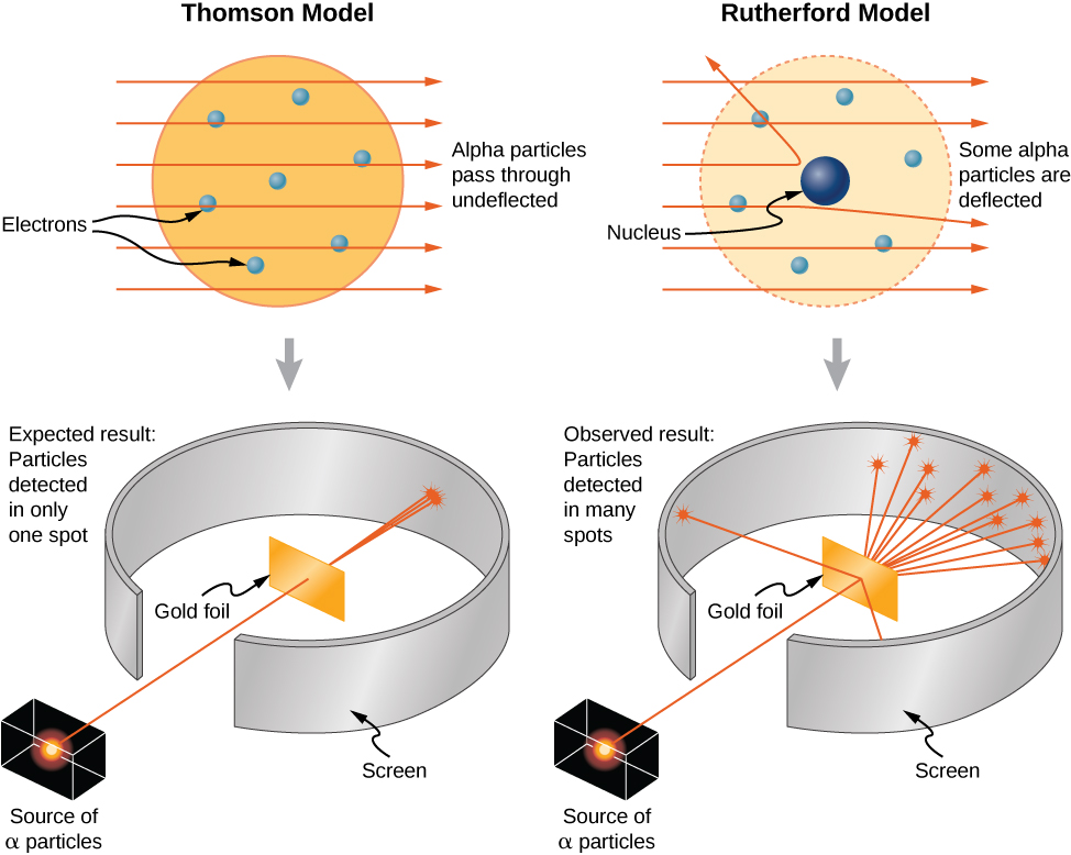 Illustrations of the Thomson and Rutherford models of the atom and the associated experiments. The Thomson model has electrons, illustrated as small solid balls distributed throughout a large, uniform sphere. Alpha particles pass through undeflected. Several trajectories of alpha particles, incident from the left and travelling horizontally to the right are shown as straight, parallel lines that pass through the atom unchanged. The experiment consists of a collimated source of alpha particles. The beam of particles passes through a gap in a screen that surrounds a gold foil target. The beam passes through the target, spreading a little, but hitting the screen in a small spot on the far side of the screen. The expected result is particles detected in only one spot. The Rutherford model has electrons, illustrated as small solid balls distributed throughout the atom, but the nucleus is a small sphere in the center. Several trajectories of alpha particles, incident from the left and travelling horizontally to the right are shown as straight, parallel lines as they enter the atom. Some pass through unchanged, one is bent slightly away from its original direction, and is bent back at an angle large than 90 degrees. The experiment consists of a collimated source of alpha particles. The beam of particles passes through a gap in a screen that surrounds a gold foil target. The beam passes through the target, most of it passing through but spreading significantly and hitting the screen on the far side over an extended region, and a few of the particles hitting the screen on the same side of foil as the source. The expected result is particles detected in many spots.