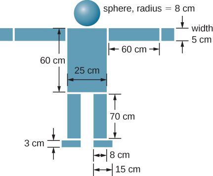 A diagram of several masses arranged to look like a model of a person is shown. At the top is a sphere, radius 8 cm. Centered below it is a rectangle 25 cm wide horizontally and 60 cm tall that looks like the body of the person. On either side of the rectangle are rectangles measuring 60 cm horizontally and 5 cm tall that look like the outstretched arms. The tops or the arms are aligned with the top of the body, and each arm extends out from the sides of the body horizontally. At the end of each arm is a 5 cm wide square. Below the body are the legs. Each leg is 70 cm tall and 8 cm wide. The tops of the legs are aligned with the bottom of the body. The outer sides of the legs are aligned with the sides o the body. Below each leg are the feet, which are 3 cm tall and 15 cm wide. The inner side of each foot is aligned with the inner side of the leg above it.