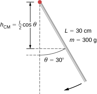 Figure shows a pendulum in the form of a rod with a mass of 300 grams and length of 30 centimeters. Pendulum is released from rest at an angle of 30 degrees.