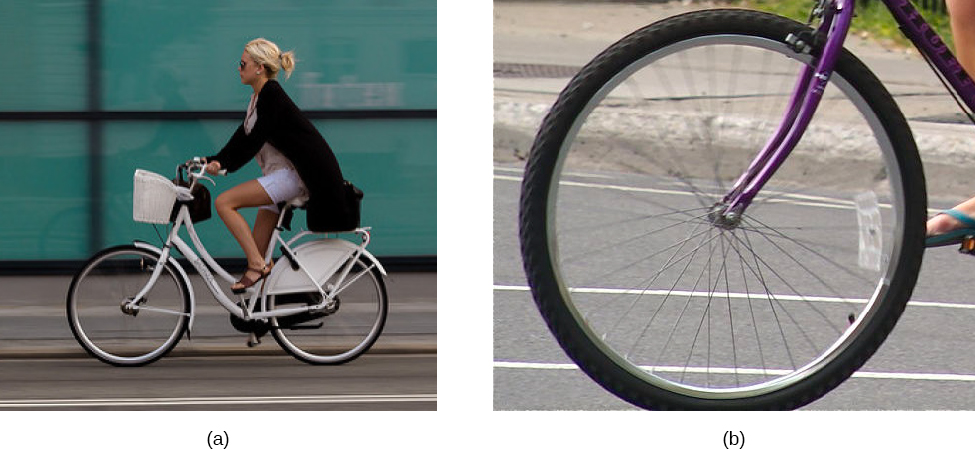 Figure a is a photograph of a person riding a bicycle. The camera followed the bike, so the image of the bike and rider is sharp, the background is blurred due to bike’s motion. Figure b is a photograph of a bicycle wheel rolling on the ground, with the camera stationary relative to the ground. The wheel and spokes are blurred at the top but clear at the bottom.