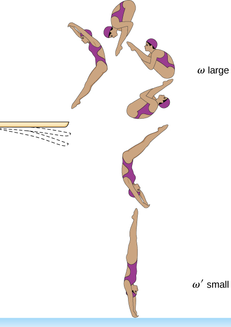 A drawing of a diver at several points in a dive, from just after leaving the diving board to just before entering the water. After leaving the board, the diver is in a pike position, with her legs pulled close to her body and omega is large. As she nears the water, she extends her body. She arrives at the water fully extended and vertical, and omega prime is small.