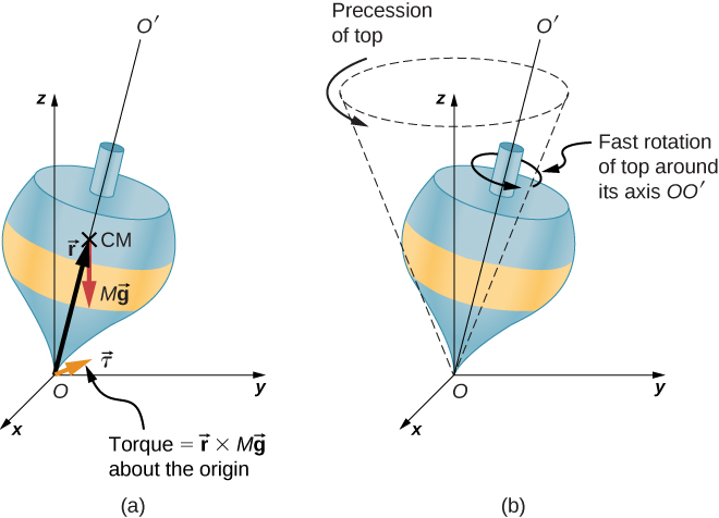 Gyroscope components and gyroscopic precession