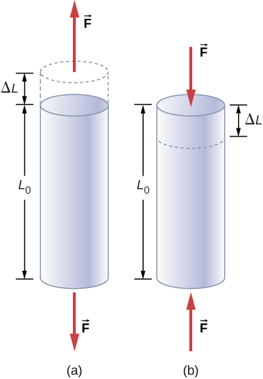 Figure A is a schematic drawing of a cylinder with a length L0 that is under the tensile strain. Two forces at the different sides of cylinder increase its length by Delta L. Figure B is a schematic drawing of a cylinder with a length L0 that is under the compressive strain. Two forces at the different sides of cylinder reduce its length by Delta L.