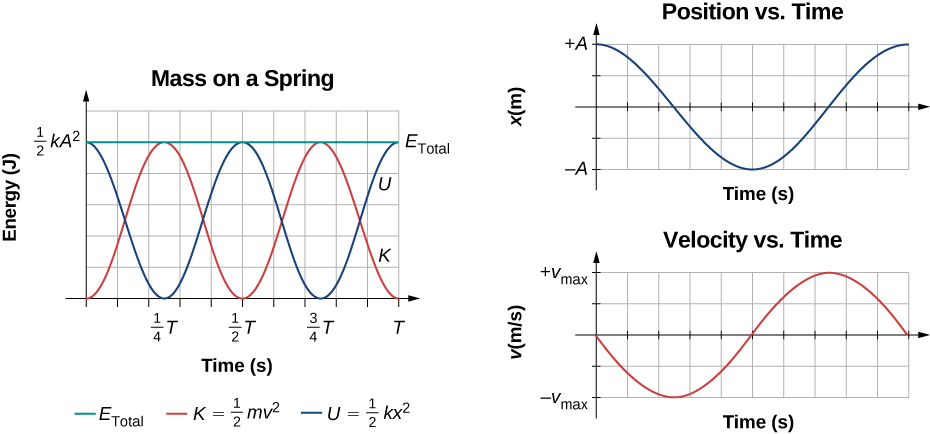 Graphs of the energy, position, and velocity as functions of time for a mass on a spring. On the left is the graph of energy in Joules (J) versus time in seconds. The vertical axis range is zero to one half k A squared. The horizontal axis range is zero to T. Three curves are shown. The total energy E sub total is shown as a green line. The total energy is a constant at a value of one half k A squared. The kinetic energy K equals one half m v squared is shown as a red curve. K starts at zero energy at t=0, and rises to a maximum value of one half k A squared at time 1/4 T, then decreases to zero at 1/2 T, rises to one half k A squared at 3/4 T, and is zero again at T. Potential energy U equals one half k x squared is shown as a blue curve. U starts at maximum energy of one half k A squared at t=0, decreases to zero at 1/4 T, rises to one half k A squared at 1/2 T, is zero again at 3/4 T and is at the maximum of one half k A squared again at t=T. On the right is a graph of position versus time above a graph of velocity versus time. The position graph has x in meters, ranging from –A to +A, versus time in seconds. The position is at +A and decreasing at t=0, reaches a minimum of –A, then rises to +A. The velocity graph has v in m/s, ranging from minus v sub max to plus v sub max, versus time in seconds. The velocity is zero and decreasing at t=0, and reaches a minimum of minus v sub max at the same time that the position graph is zero. The velocity is zero again when the position is at x=-A, rises to plus v sub max when the position is zero, and v=0 at the end of the graph, where the position Is again maximum.