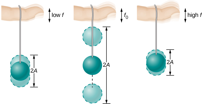The figure shows three pictures of a horizontal viewed a string suspended from a finger, with a ball tied to its lower end. In the first figure, the finger moves up and down with low frequency f, and the ball moves up and down some distance away from its equilibrium height, the displacement shown in the figures as faded shades of the ball and the equilibrium position as a darker image. In the second figure the finger moves up and down with frequency f sub zero and the movement of the ball is much larger than in the first. In the third figure the finger moves up and down with a high frequency f, and the movement of the ball is smaller than in the first figure. In all the three figures the total distance from the lowest to highest position of the ball is indicated as 2 A.