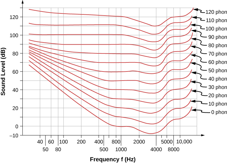 The graph is the plot of sound level in decibels versus frequency in Herz. Data for 0, 10, 20, 30, 40, 50, 60, 70, 80, 90, 100, 110, and 120 phons is plotted. Data is plotted as curved lines stacked one a top of other.